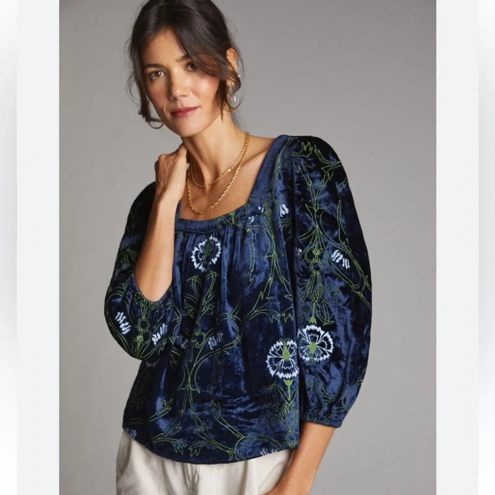 Anthropologie Lacy Velvet Embroidered Blouse